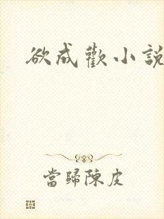 欲成欢小说