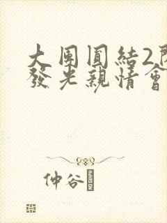 大团圆结2闪闪发光亲情会