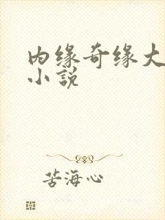 内缘奇缘大团圆小说
