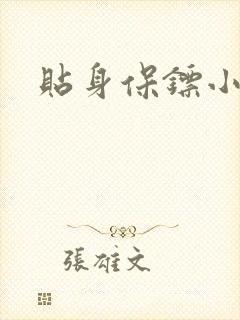 贴身保镖小说