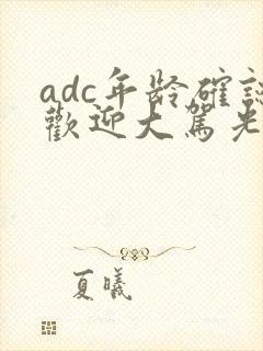 adc年龄确认欢迎大驾光临小说