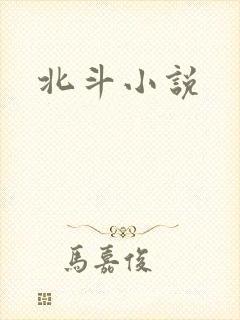 北斗小说封面