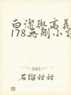 白洁与高义1～178无删小说封面