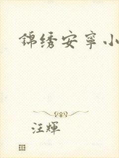 锦绣安宁小说
