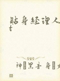 贴身经理人txt封面