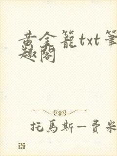 黄金笼txt笔趣阁封面