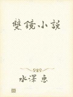 双镜小说