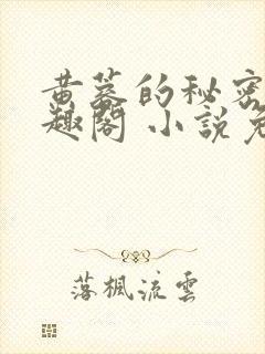 黄蓉的秘密 笔趣阁 小说免费阅读