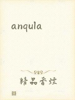 anqula封面