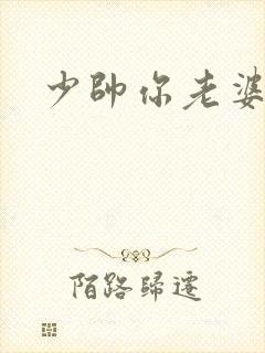 少帅你老婆