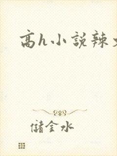 高h小说辣文