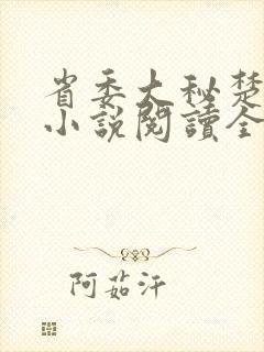 省委大秘楚东恒小说阅读全文