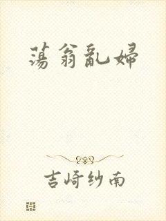 荡翁乱妇