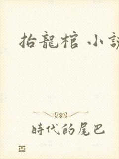 抬龙棺 小说