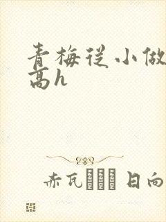 青梅从小做到大高h封面