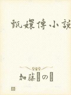 甄嬛传小说