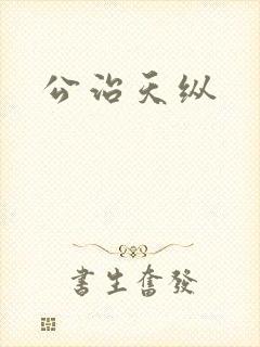 公治天纵封面