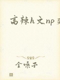 高辣h文np爽封面