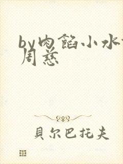 by肉馅小水饺周慈封面