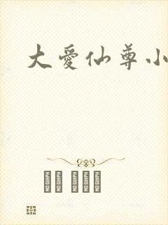 大爱仙尊小说封面