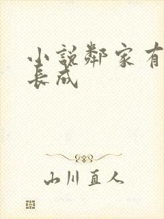 小说邻家有女初长成封面