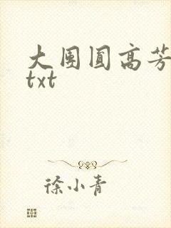 大团圆高芳小说txt