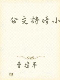 公交诗晴小说