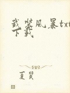 武装风暴txt下载