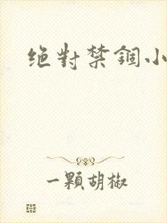 绝对禁锢小说封面