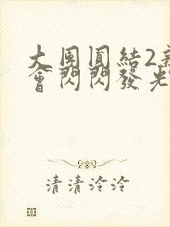 大团圆结2亲情会闪闪发光亲情会2