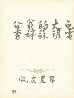 公翁的大龟挺进秀婷苏玥电影封面