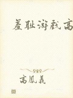 羞耻游戏高h封面