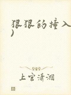 狠狠的撞入(h)