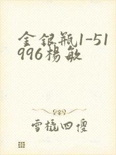 金银瓶1-51996杨敏封面