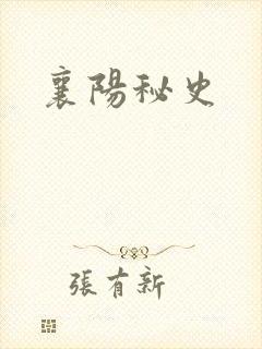 襄阳秘史封面