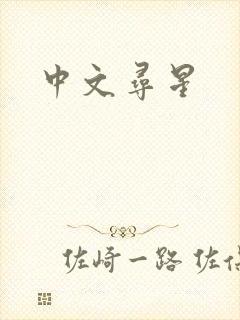中文寻星