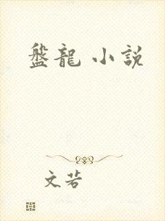 盘龙 小说