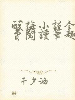酸梅小说全文免费阅读笔趣阁
