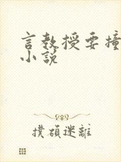 言教授要撞坏了小说