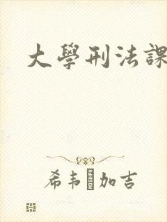 大学刑法课封面