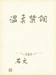 温柔禁锢封面