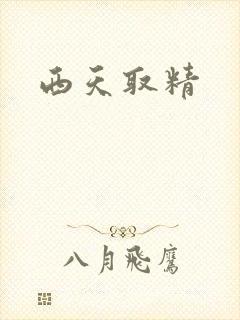 西天取精