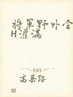 将军野外含公主H灌满