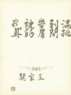 我被带到满是玩具的房间挑调游戏