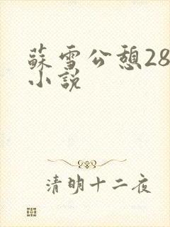 苏雪公憩28篇小说