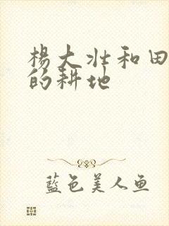 杨大壮和田桂花的耕地封面