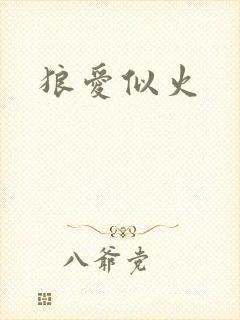 狼爱似火封面