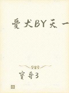 爱犬BY天一