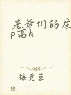 老爷们的床奴np高h