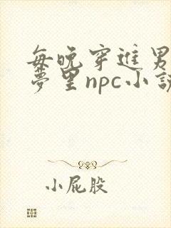每晚穿进男神的梦里npc小说